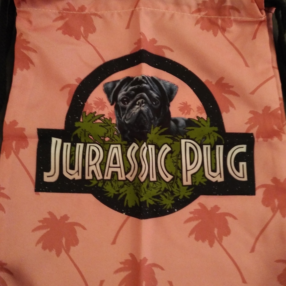 New - Drawstring Shoulder Bag -Backpack- B - image 6